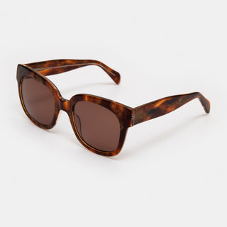 Chloe Turtle Brown Sunglasses