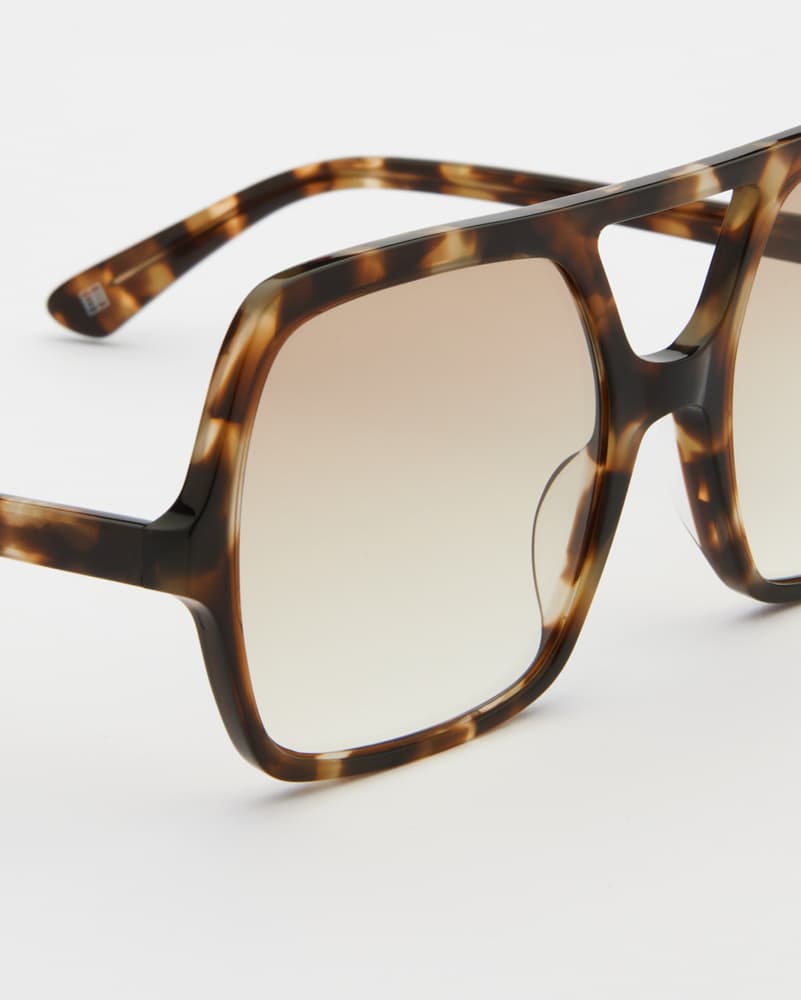 Lilly Turtle Brown Tinted Readers