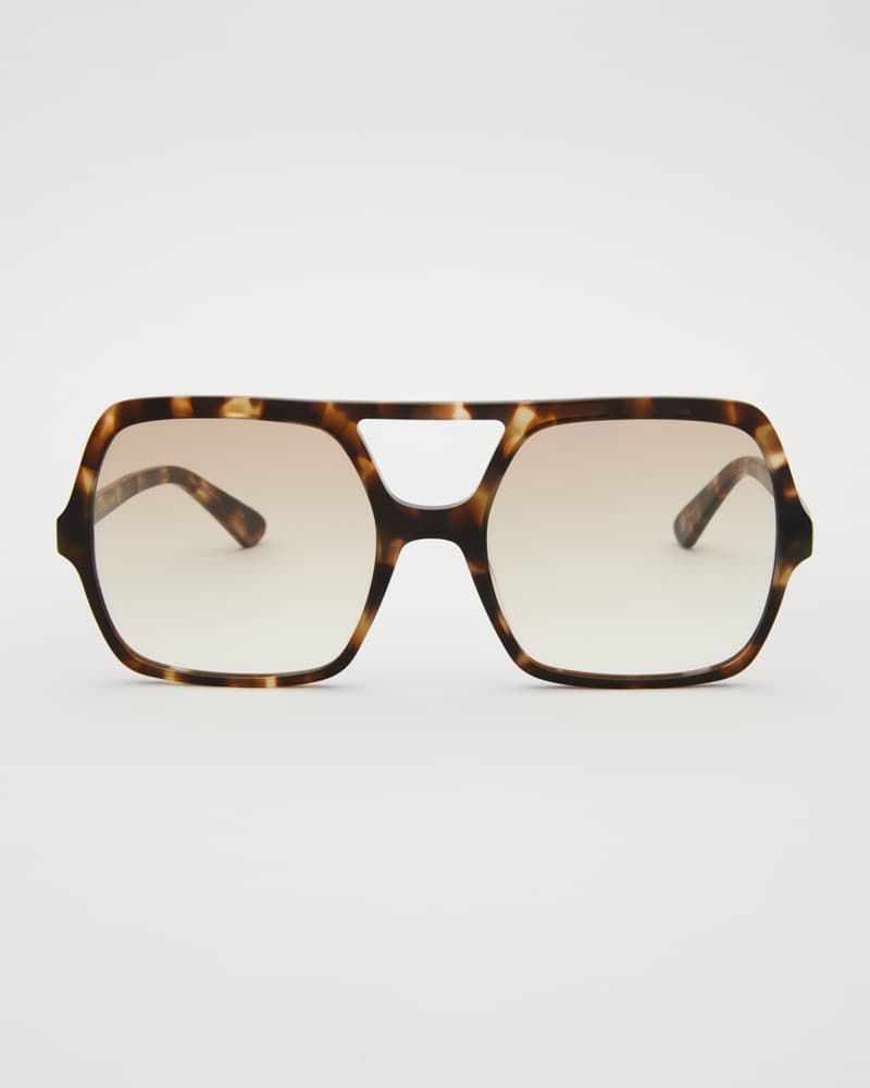 Lilly Turtle Brown Tinted Readers