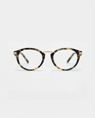 Ann Brown Havana Blue Light