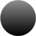 Shiny Black